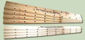 Carpenter Bee Chamber House Kit