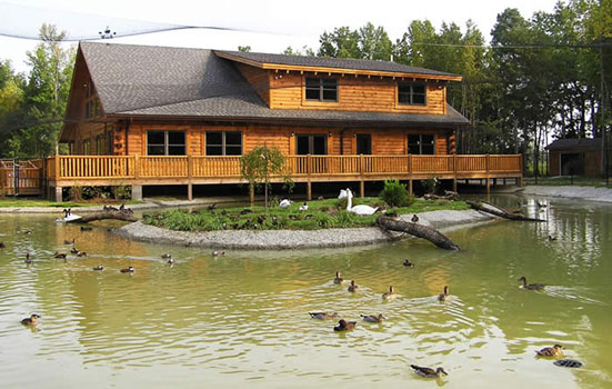 International Aviary