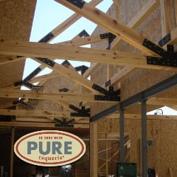 Pure Trusses