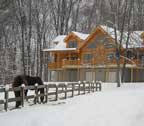 Build Your Log Home NOW - and save $$